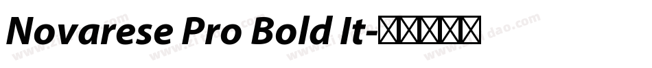 Novarese Pro Bold It字体转换